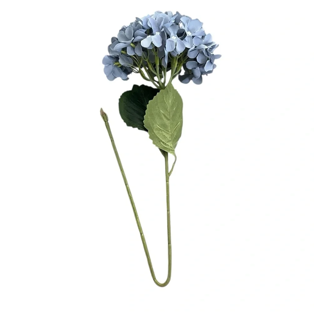 Elegant Blue 18